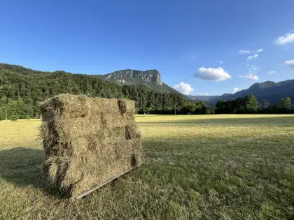 Bohinjska Bela 7, 4263 Bohinjska Bela, Slovenija