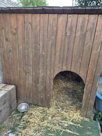 Hundehütte