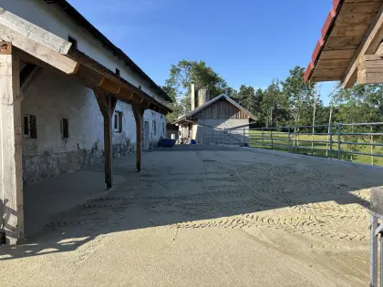 Pferdeeinstellplatz in privatem Offenstall