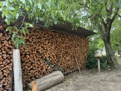 Brennholz Kiefer