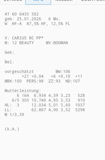 Jungkalbinnen