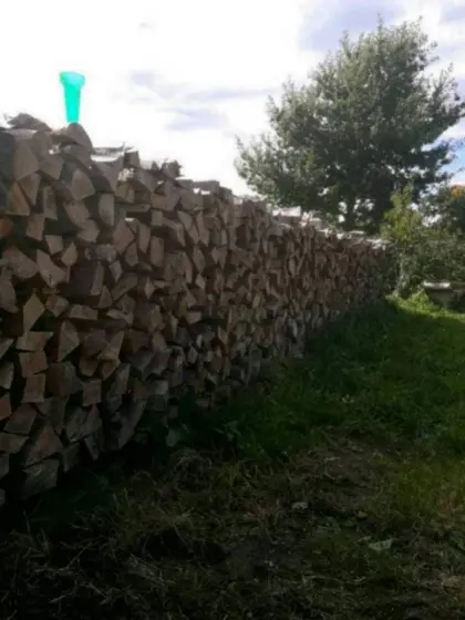 Buchenbrennholz