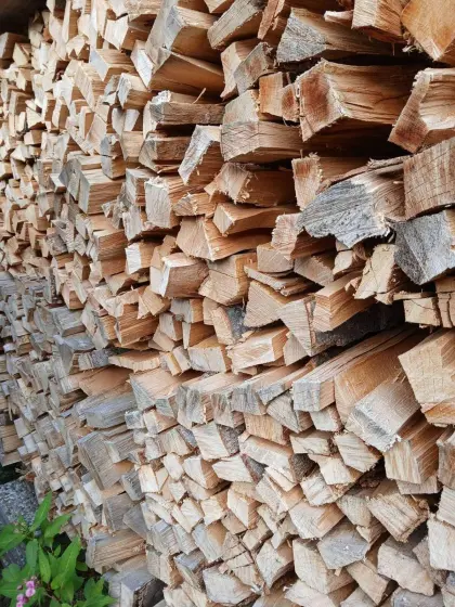 Buchen-Brennholz