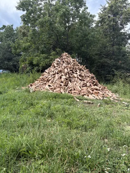 Brennholz (Hartholz und Weichholz)