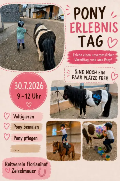 Grünland für Heu gesucht