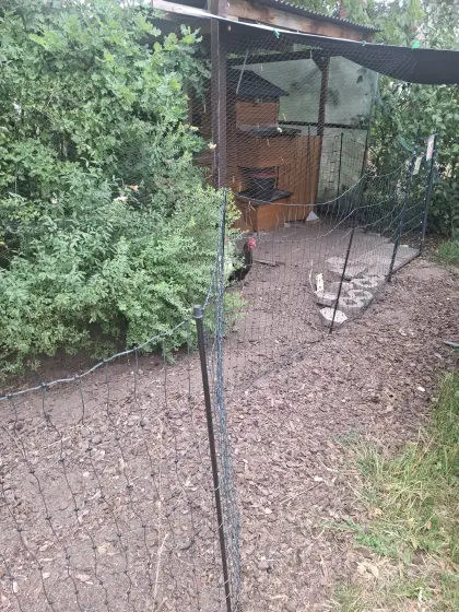 Hühnerstall mit Zubehör