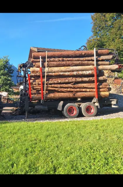 Rückewagen, Forstanhänger, Holzanhänger mit Forstkran (Gögel, Jonsered 590)