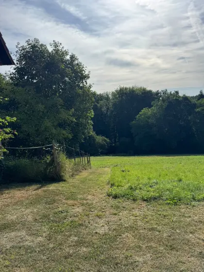Landwirtschaftliche Fläche inkl. Stall zu verpachten