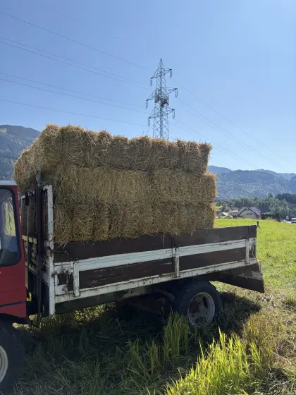 Stroh Kleinballen