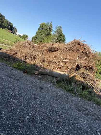 Waldhackgut
