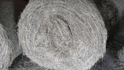 Heu