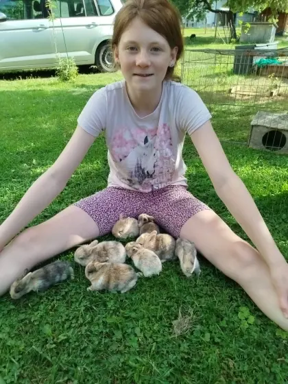 Zwergkaninchen