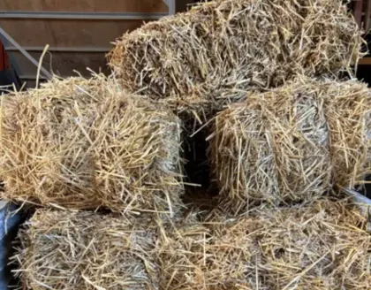 Strohballen