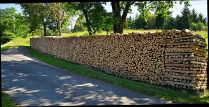 Brennholz
