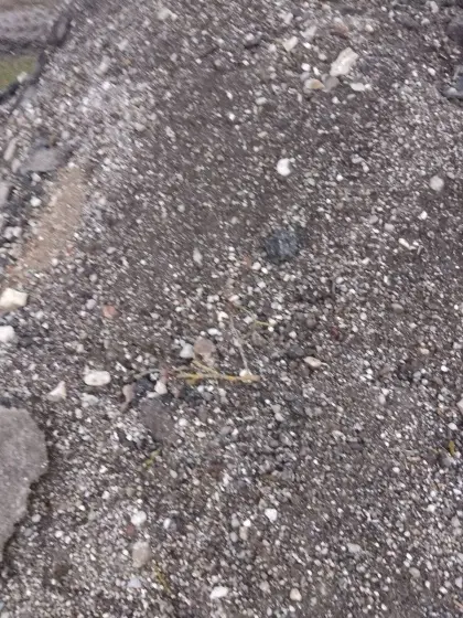 Asphaltbruch