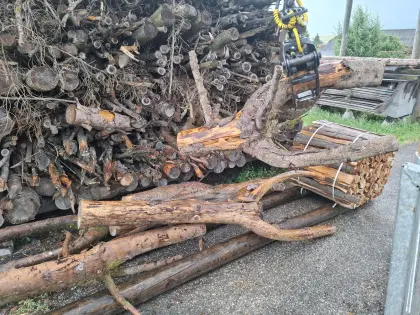Baumgabel Dreizack Gartendeko
