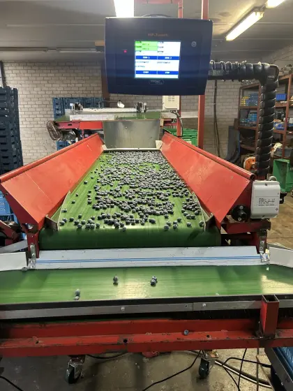 Heidelbeeren-Sortiermaschine