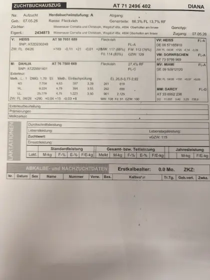 Verkaufe FL/RF Kälber mit Milchleistung