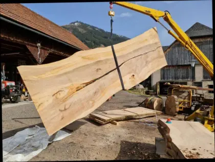 2 Stk. Tischplatten 80 mm