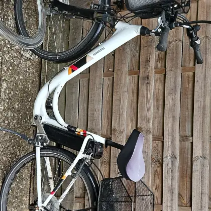 Elektro-Fahrrad
