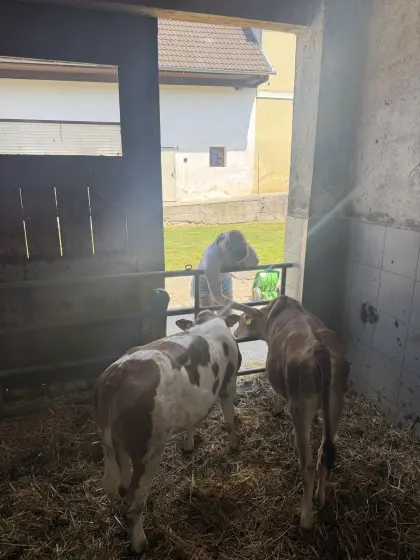Partnerbetrieb gesucht