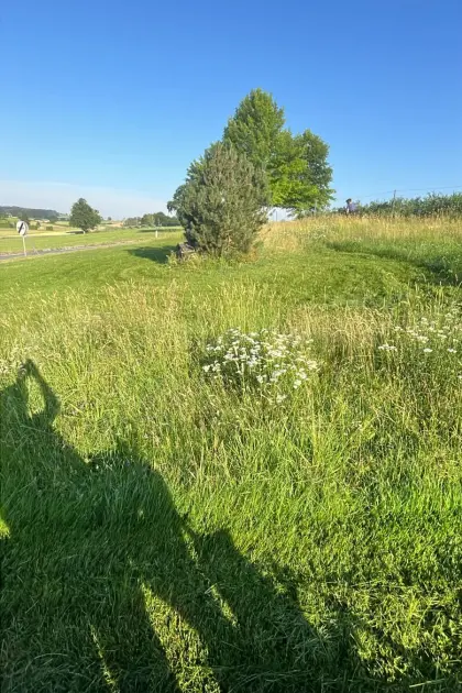 Stroh ab Feld