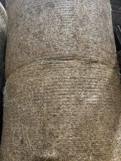Heuballen 150 cm