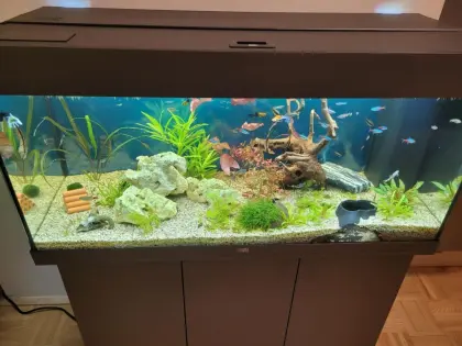 Aquarium neu