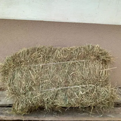 Heu in Kleinballen