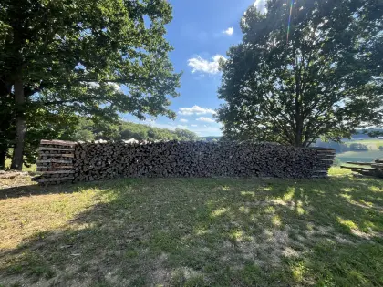 Buchenholz Brennholz