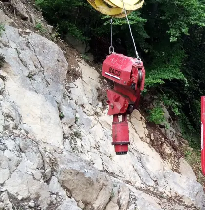 Carrello forestale