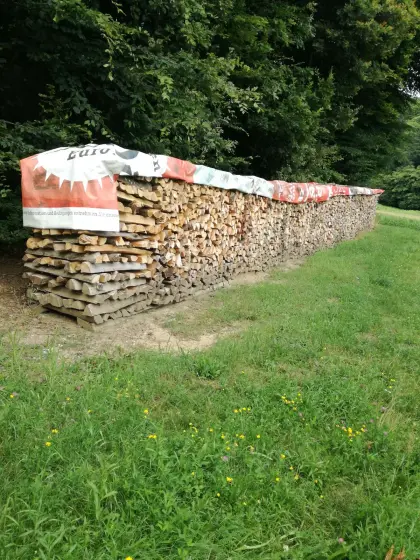 Buchenholz