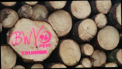 Holzernte und Vermarktung, Waldhelfer, Forstbetrieb Trummer