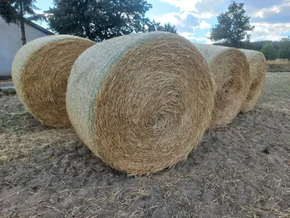 Strohballen