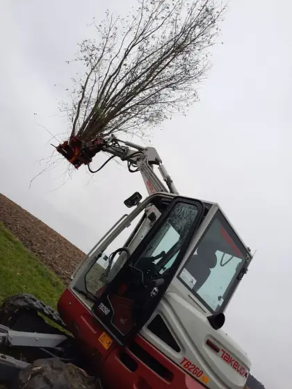 Lohnarbeit mit Woodcracker