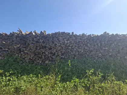 Buchenbrennholz