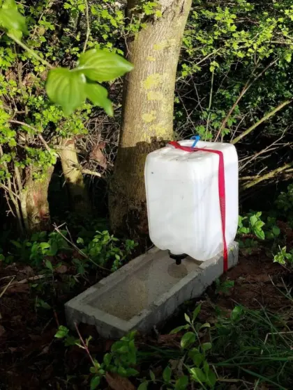 Wassertränken, Hühnertränken
