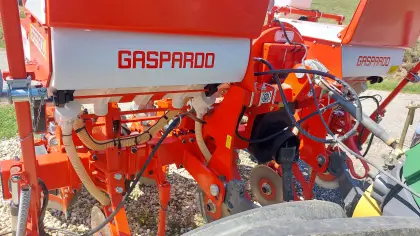 Gaspardo MT4