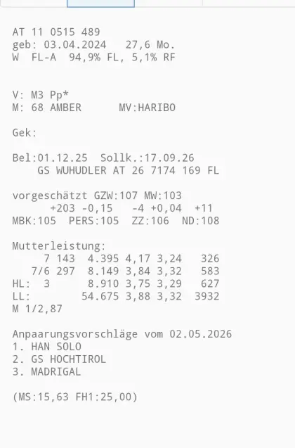 2 Bio-Kalbinnen, hochträchtig
