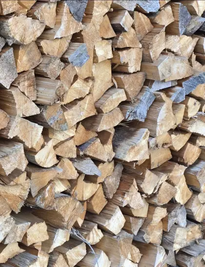 Brennholz Fichte, trocken
