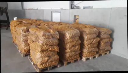 Verkaufe Kartoffeln, Erdäpfel (Ditta, Lea, Valdivia, Valdivia)