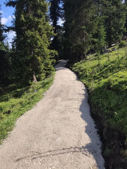 Wegsanierung, Wegebau, Barfußweg