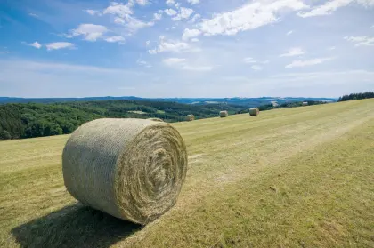 Suche Heuballen für Pferde (Saison 2025/2026)