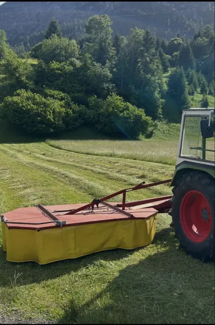 Kreiselmähwerk, Trommelmähwerk Pöttinger KM 24