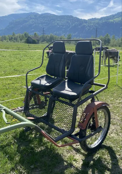 Kutsche zu verkaufen, Verhandlungsbasis
