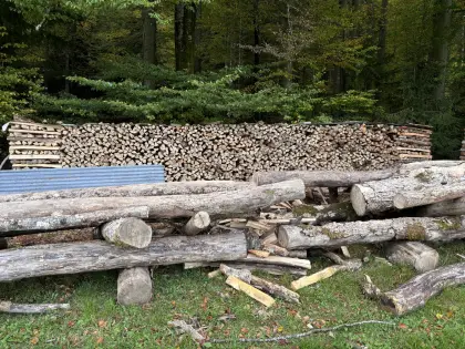 Brennholz zu verkaufen