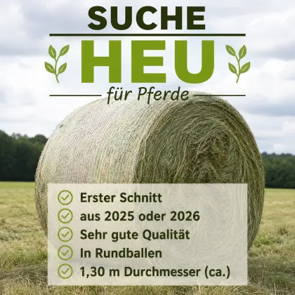 Suche Heu