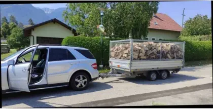Brennholz Buche Aktion, Kärnten/Steiermark