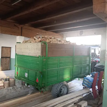 Ofenfertiges, trockenes Brennholz