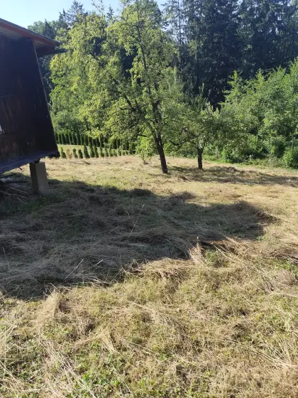 Futter zu verkaufen